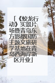 《蛟龙行动》实景片场暨青岛东方影都国防主题文旅研学基地在青岛西海岸新区开业