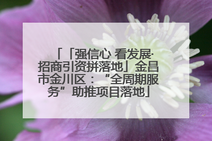 「强信心 看发展·招商引资拼落地」金昌市金川区：“全周期服务”助推项目落地