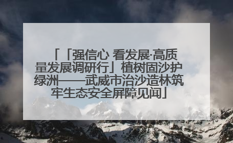 「强信心 看发展·高质量发展调研行」植树固沙护绿洲——武威市治沙造林筑牢生态安全屏障见闻