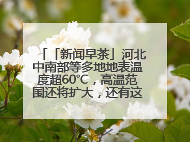 「新闻早茶」河北中南部等多地地表温度超60℃，高温范围还将扩大，还有这些热点……