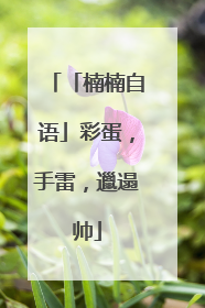 「楠楠自语」彩蛋，手雷，邋遢帅