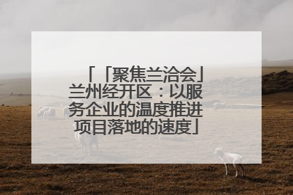 「聚焦兰洽会」兰州经开区：以服务企业的温度推进项目落地的速度