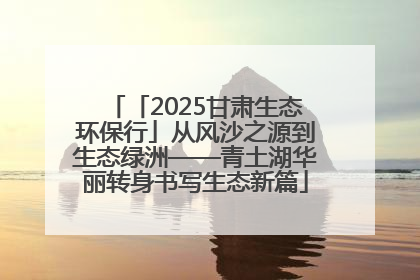 「2025甘肃生态环保行」从风沙之源到生态绿洲——青土湖华丽转身书写生态新篇