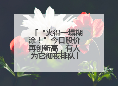 “火得一塌糊涂！”今日股价再创新高，有人为它彻夜排队