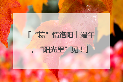 “粽”情洛阳丨端午，“阳光里”见！
