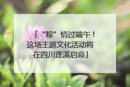 “粽”情过端午！这场主题文化活动将在四川蓬溪启幕