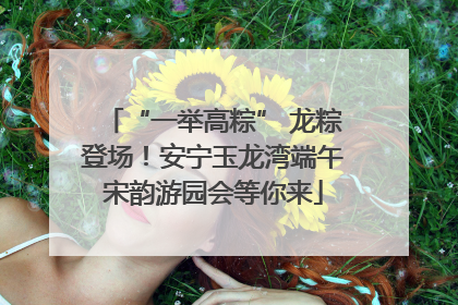 “一举高粽” 龙粽登场！安宁玉龙湾端午宋韵游园会等你来