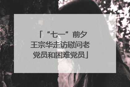 “七一”前夕 王宗华走访慰问老党员和困难党员