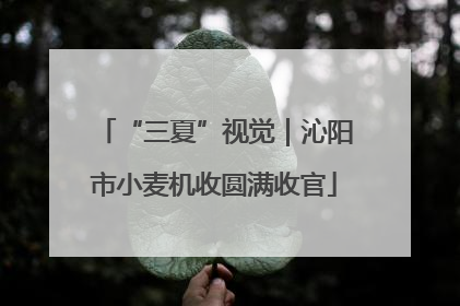 “三夏”视觉｜沁阳市小麦机收圆满收官