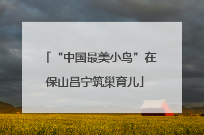 “中国最美小鸟”在保山昌宁筑巢育儿