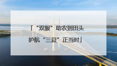 “双服”助农到田头 护航“三夏”正当时