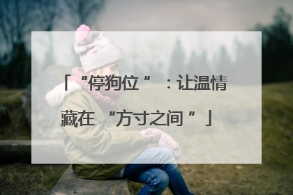 “停狗位 ”：让温情藏在 “方寸之间 ”