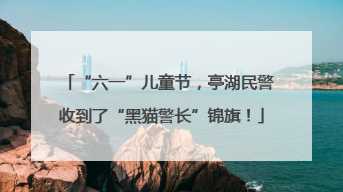 “六一”儿童节，亭湖民警收到了“黑猫警长”锦旗！