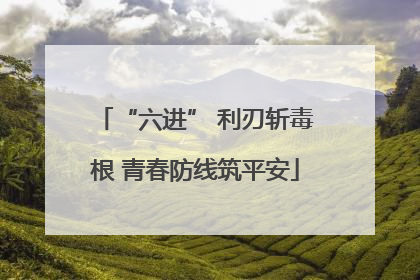 “六进” 利刃斩毒根 青春防线筑平安