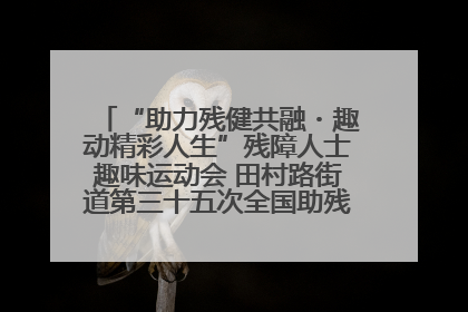 “助力残健共融・趣动精彩人生”残障人士趣味运动会 田村路街道第三十五次全国助残日主题活动圆满举办