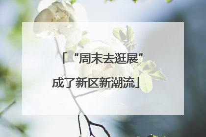“周末去逛展”成了新区新潮流