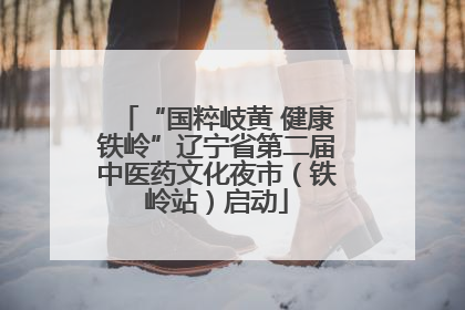 “国粹岐黄 健康铁岭”辽宁省第二届中医药文化夜市（铁岭站）启动
