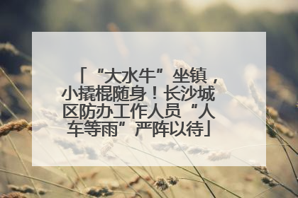 “大水牛”坐镇，小撬棍随身！长沙城区防办工作人员“人车等雨”严阵以待