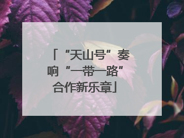 “天山号”奏响“一带一路”合作新乐章