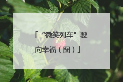“微笑列车”驶向幸福（图）