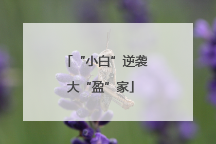 “小白”逆袭大“盈”家