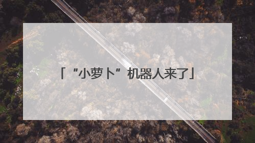 “小萝卜”机器人来了