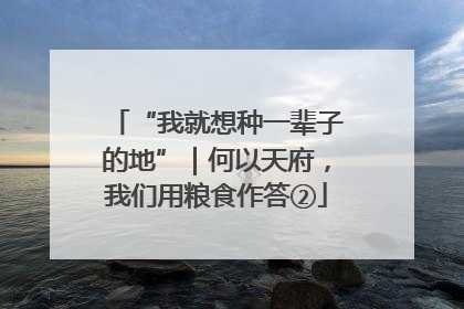 “我就想种一辈子的地”｜何以天府，我们用粮食作答②