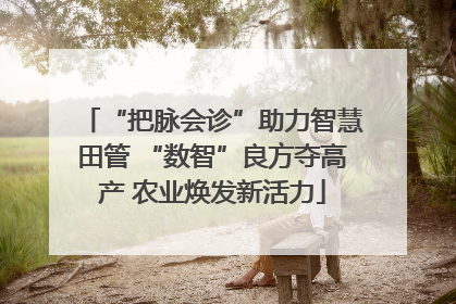 “把脉会诊”助力智慧田管 “数智”良方夺高产 农业焕发新活力