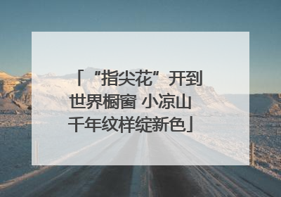 “指尖花”开到世界橱窗 小凉山千年纹样绽新色