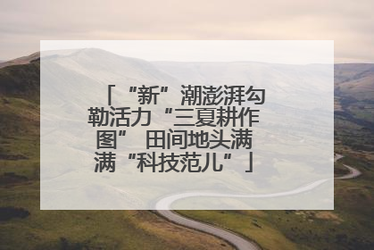 “新”潮澎湃勾勒活力“三夏耕作图” 田间地头满满“科技范儿”