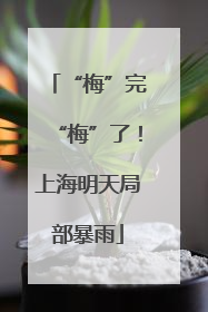 “梅”完“梅”了！上海明天局部暴雨