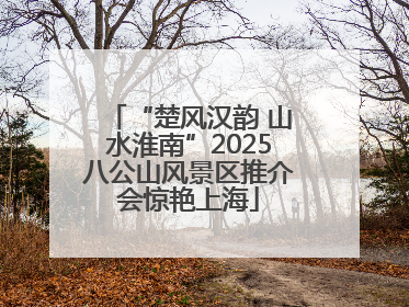 “楚风汉韵 山水淮南”2025八公山风景区推介会惊艳上海