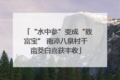“水中参”变成“致富宝” 南漳八泉村千亩茭白喜获丰收