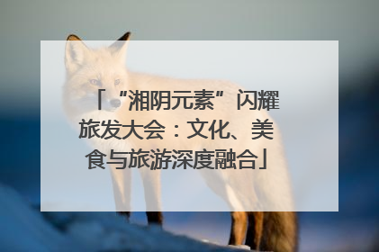 “湘阴元素”闪耀旅发大会：文化、美食与旅游深度融合