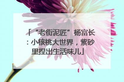 “老街泥匠”杨富长：小核桃大世界，紫砂里捏出生活味儿
