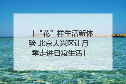 “花”样生活新体验 北京大兴区让月季走进日常生活