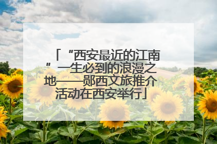 “西安最近的江南”一生必到的浪漫之地——郧西文旅推介活动在西安举行