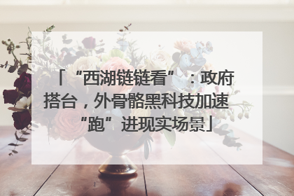 “西湖链链看”：政府搭台，外骨骼黑科技加速“跑”进现实场景