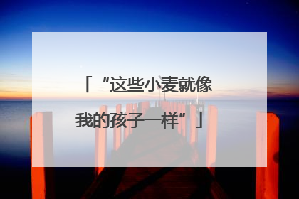 “这些小麦就像我的孩子一样”