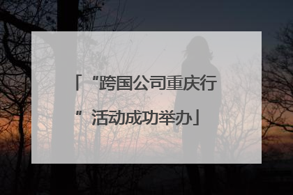“跨国公司重庆行”活动成功举办