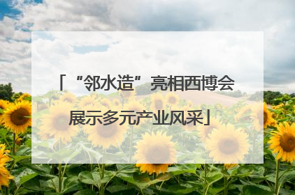 “邻水造”亮相西博会 展示多元产业风采