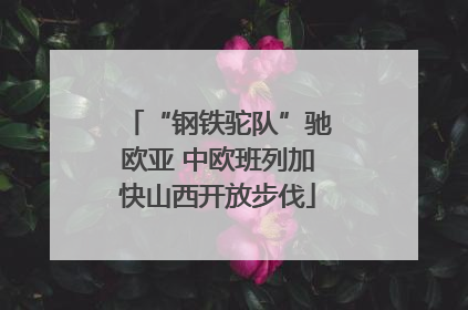 “钢铁驼队”驰欧亚 中欧班列加快山西开放步伐