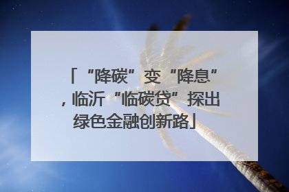 “降碳”变“降息”，临沂“临碳贷”探出绿色金融创新路