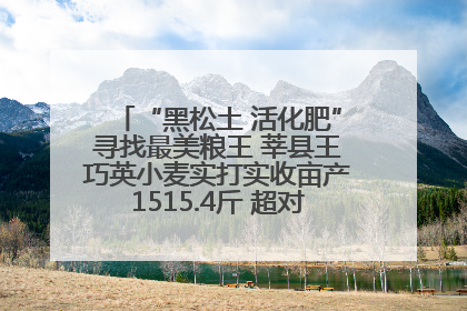 “黑松土 活化肥”寻找最美粮王 莘县王巧英小麦实打实收亩产1515.4斤 超对照田144斤！
