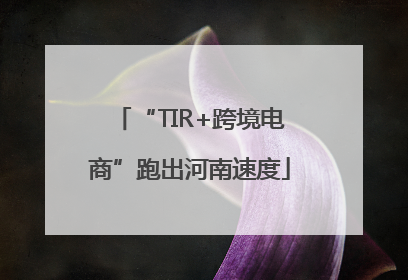 “TIR+跨境电商”跑出河南速度