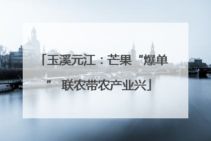玉溪元江：芒果“爆单” 联农带农产业兴