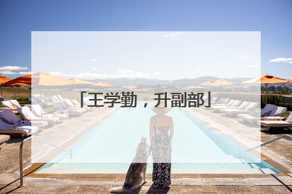 王学勤，升副部