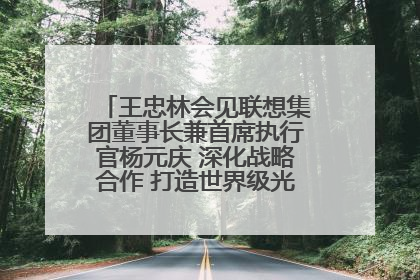 王忠林会见联想集团董事长兼首席执行官杨元庆 深化战略合作 打造世界级光电子信息产业集群