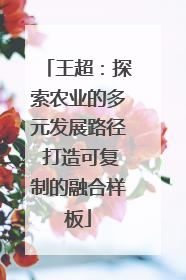 王超：探索农业的多元发展路径 打造可复制的融合样板