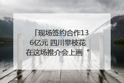 现场签约合作136亿元 四川攀枝花在这场推介会上画“图谱”列“清单”